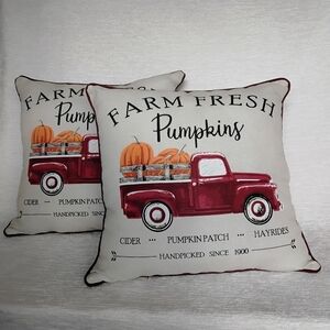2 Excellent Pre-loved Farm Fresh Pumpkins Pillow Set -   Firm Filling.